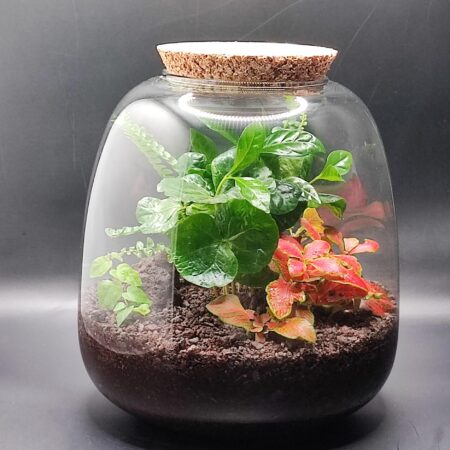 Kleine Kapsel DIY