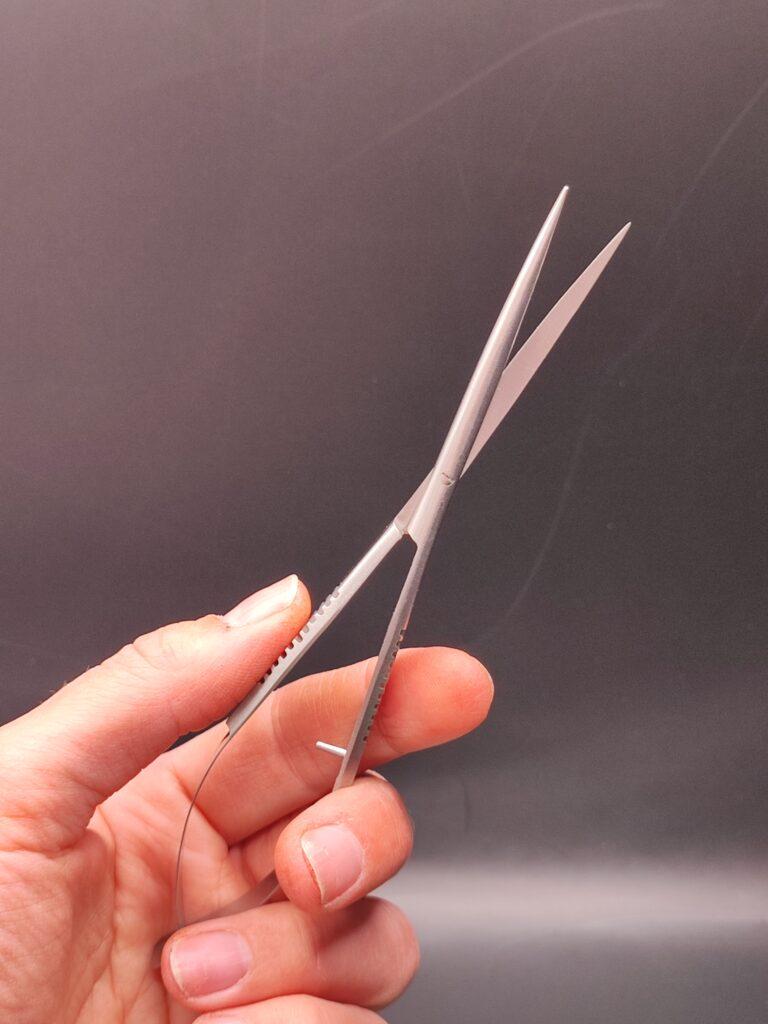 kleine Pflanzenschere wird von einer Hand gehalten
