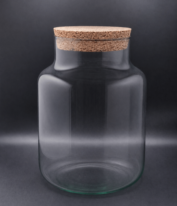Korkglas Zylinder