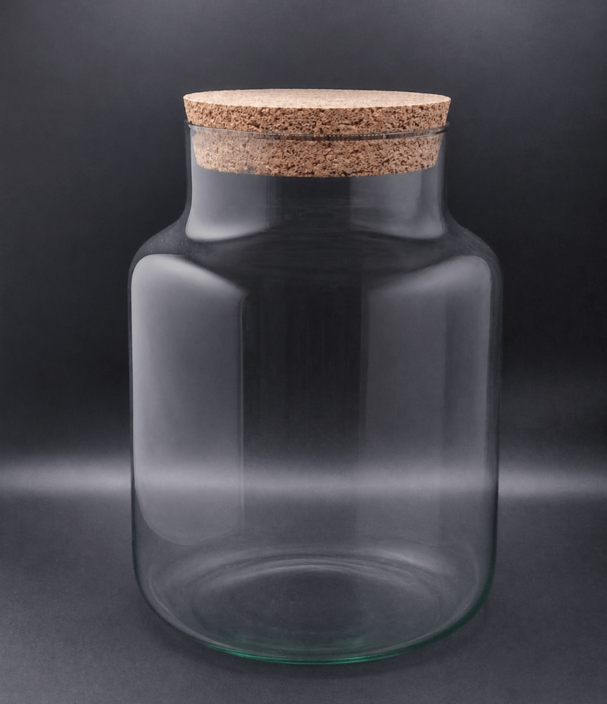 leerer Glaszylinder mit Korkdeckel für Flaschengarten