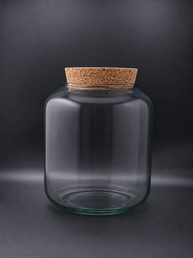 Ein kleines leeres Glas mit Korkdeckel zum Bepflanzen.