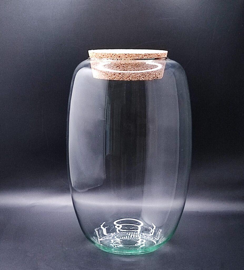 kleines leeres Glas mit Korkdeckel zum bepflanzen eines Dschungelglases