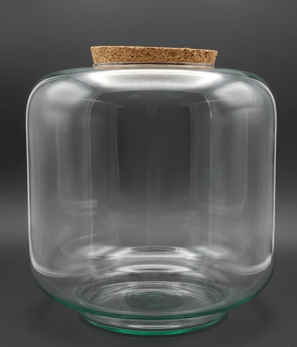 Oase, großes Glas mit Korkdeckel zum Bepflanzen bei einem Workshop, Flaschengarten